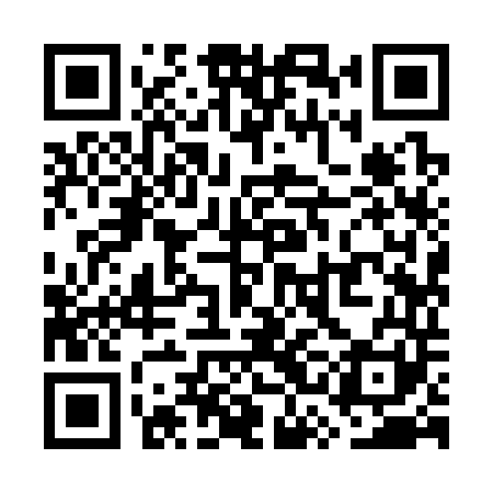 QR code for WSI341