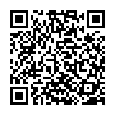 QR code for WSI969