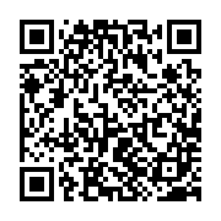 QR code for WZD383