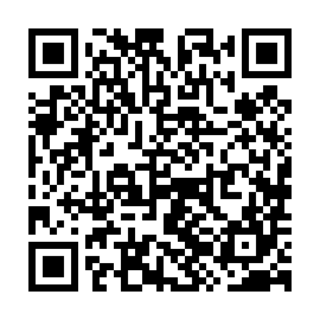 QR code for WZH484