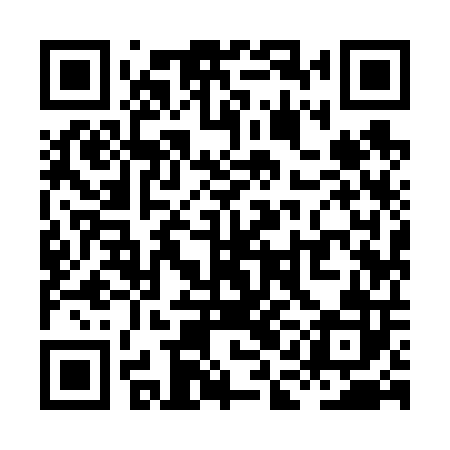 QR code for XAI602