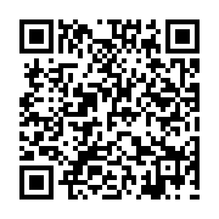 QR code for XCD379