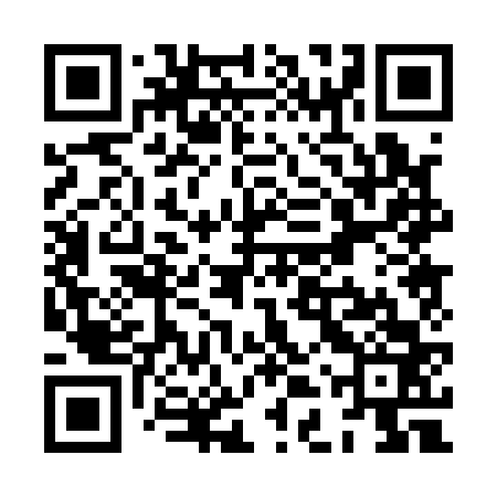 QR code for XDP163