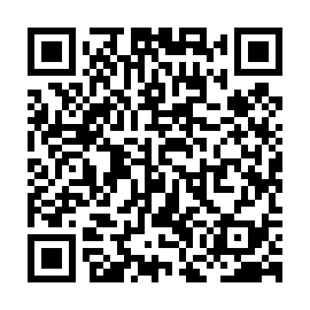 QR code for XGI439