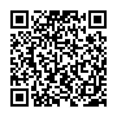 QR code for XGU393