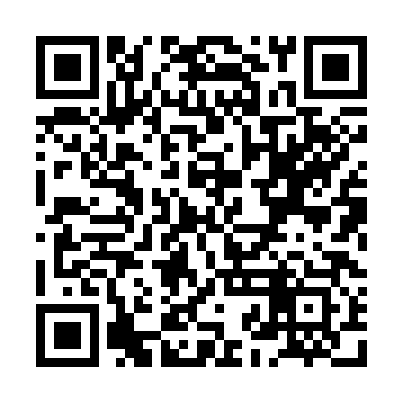 QR code for XJH383