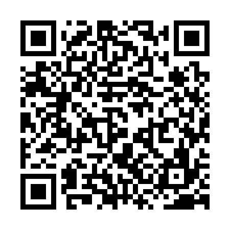 QR code for XSM336