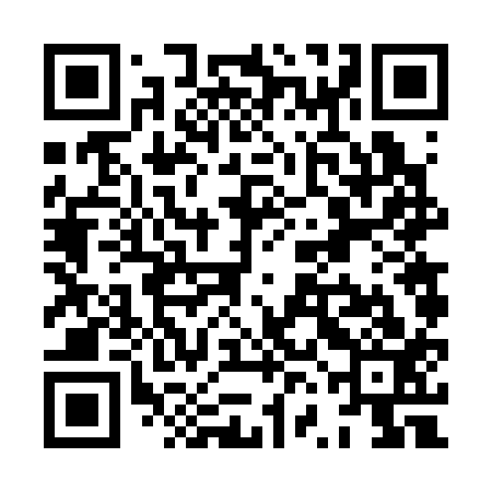 QR code for XVF313