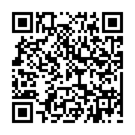 QR code for YBB993