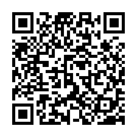 QR code for YFM999