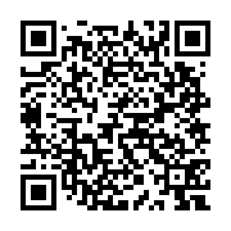 QR code for YPZ771