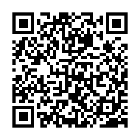 QR code for YSU991