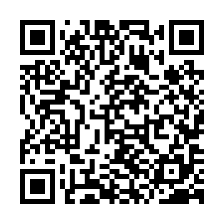 QR code for YVN295