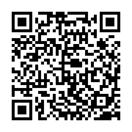 QR code for YXZ919