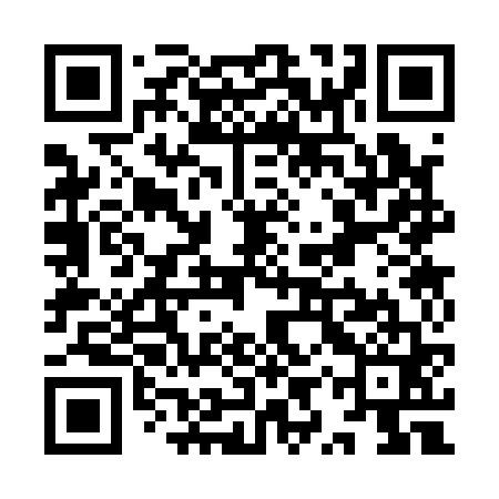 QR code for YYS161