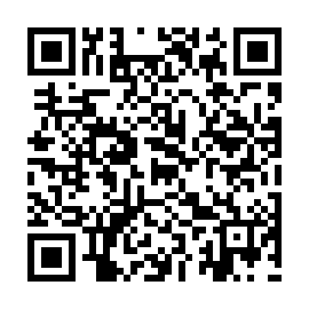 QR code for YZT486