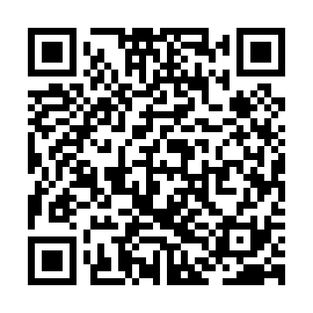 QR code for ZDE031