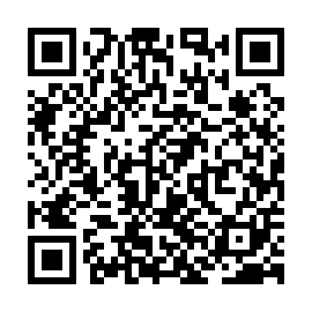 QR code for ZFE101