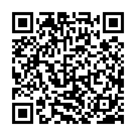 QR code for ZGP531