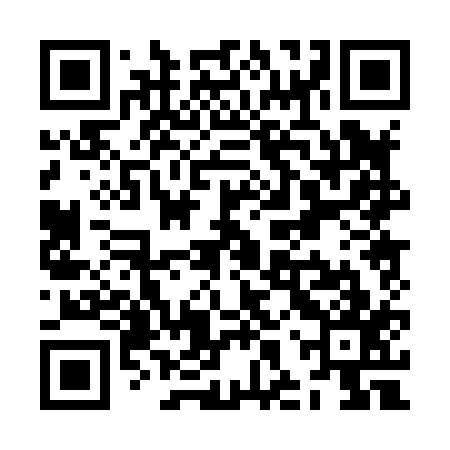 QR code for ZHP817
