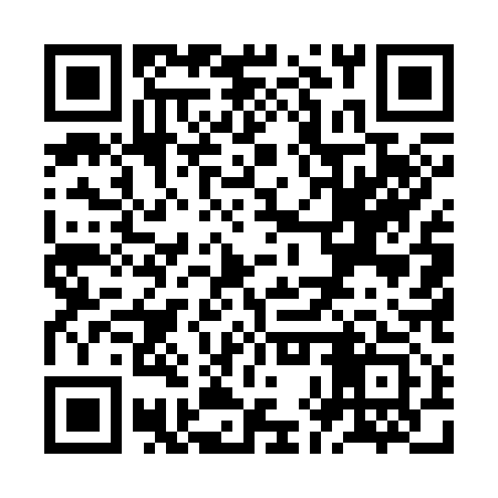 QR code for ZHU313