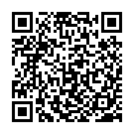 QR code for ZIC250