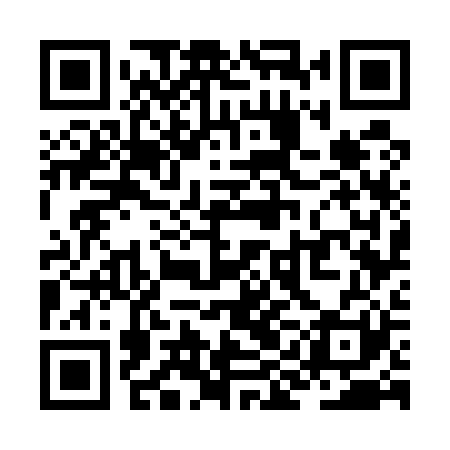 QR code for ZIG521