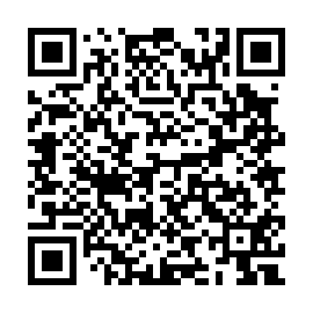 QR code for ZIZ011