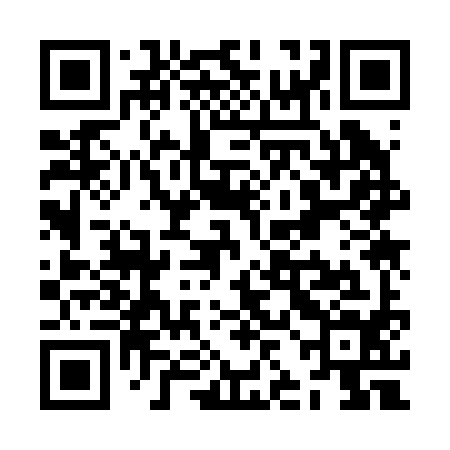 QR code for ZJK294