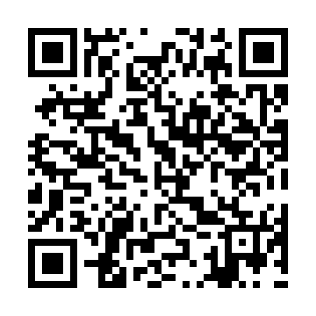 QR code for ZKX375