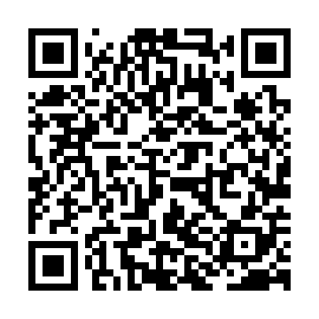 QR code for ZLL308