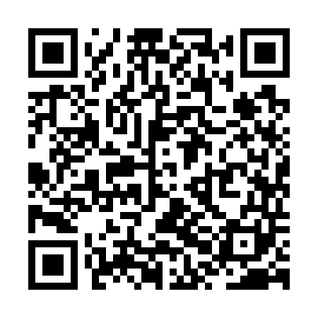 QR code for ZPI741