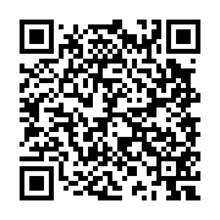 QR code for ZPN051