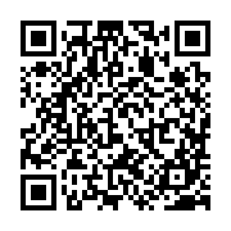 QR code for ZQZ384