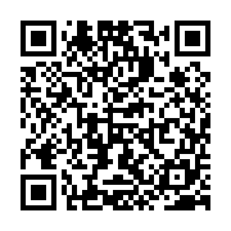 QR code for ZSY155