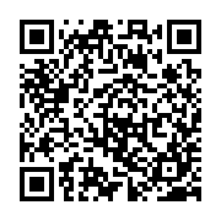 QR code for ZTG384