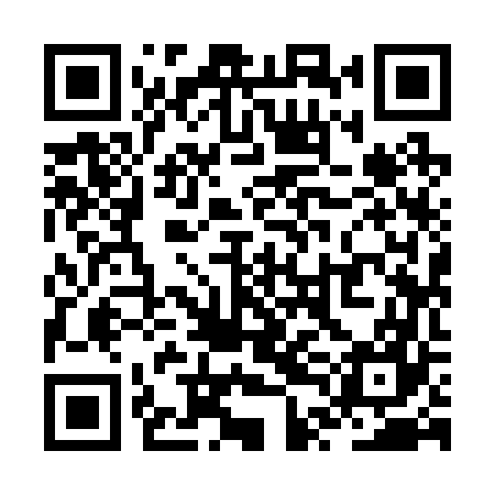 QR code for ZTI267