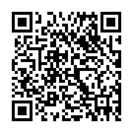 QR code for ZTT387