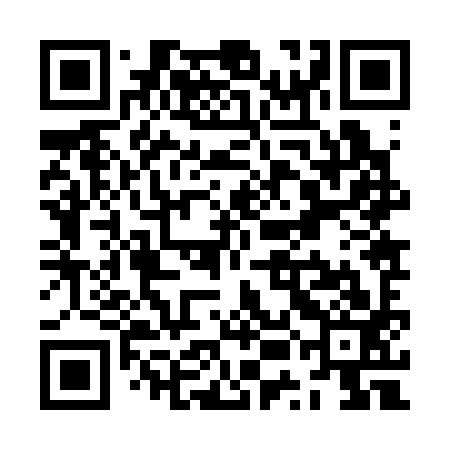 QR code for ZUJ393