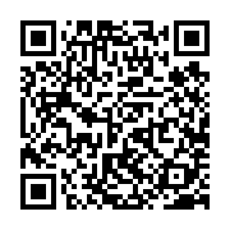 QR code for ZVT689