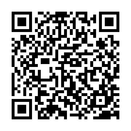 QR code for ZWO384