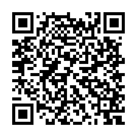 QR code for ZXU541