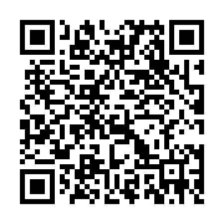 QR code for ZYY384