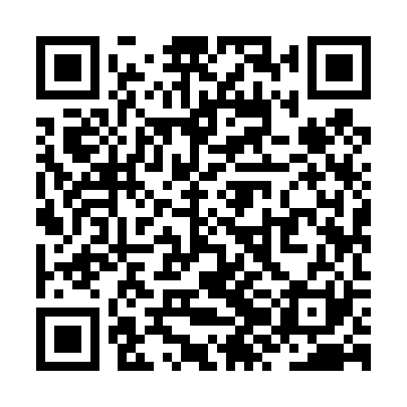 QR code for ZZI421