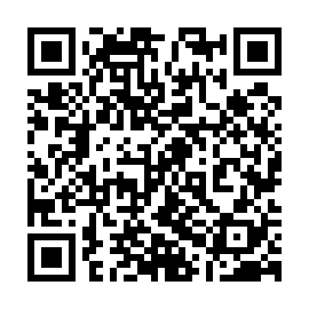 QR code for 10N528