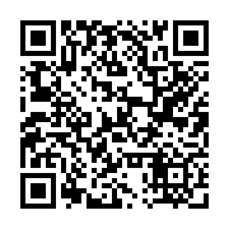 QR code for 10P369