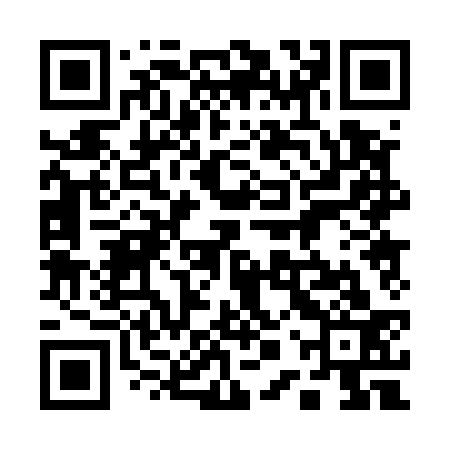 QR code for 10P533