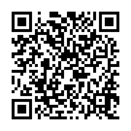 QR code for 11LY96