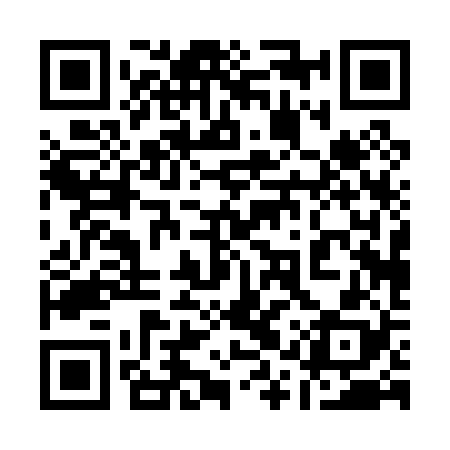 QR code for 11P028