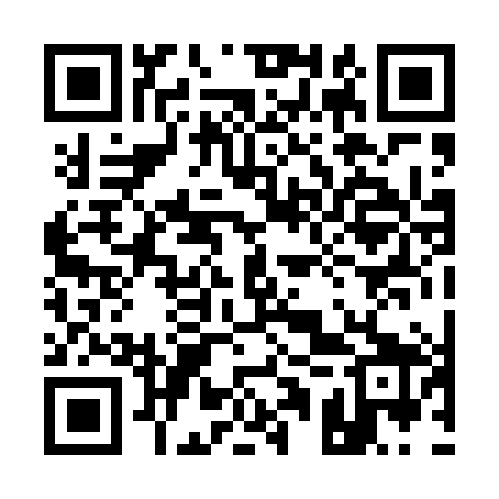 QR code for 11P489
